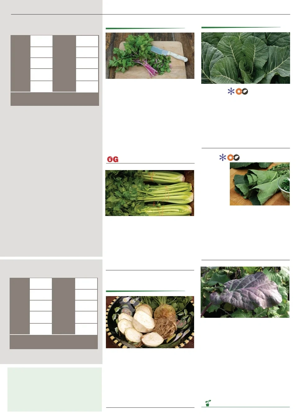 Territorial Seed flyer page 27