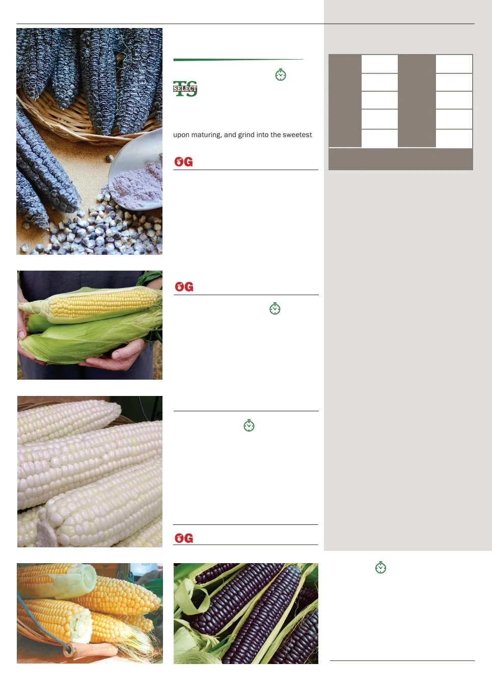 Territorial Seed flyer page 28
