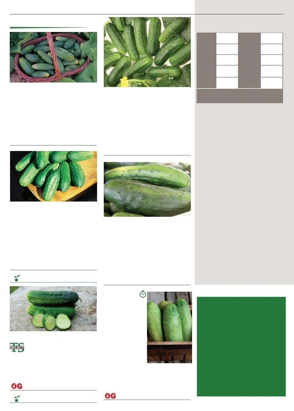 Territorial Seed flyer page 32