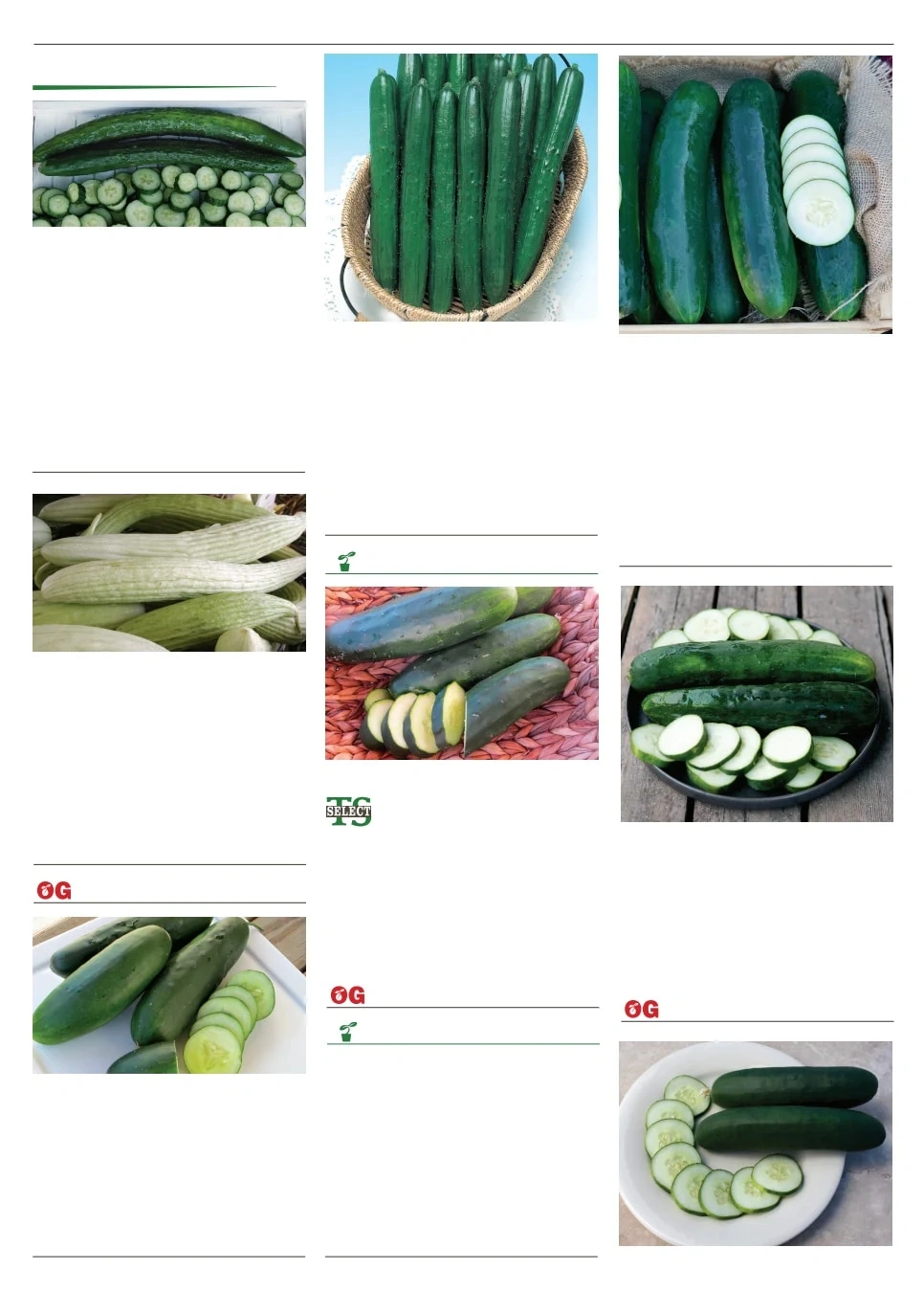 Territorial Seed flyer page 33