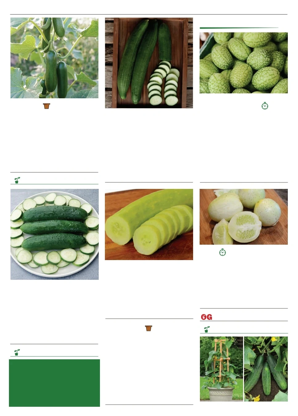 Territorial Seed flyer page 34
