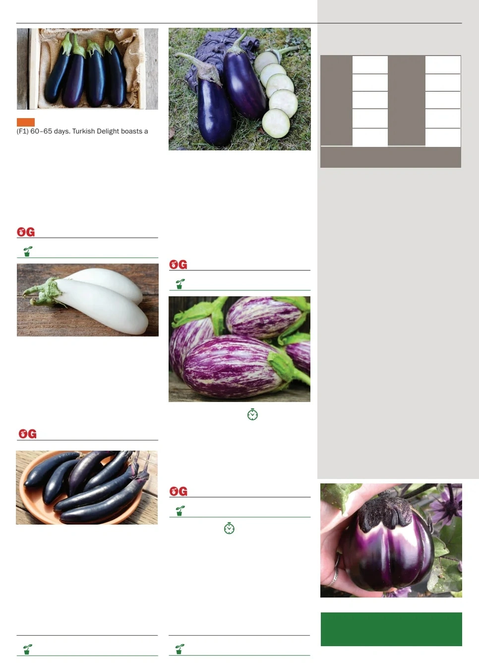 Territorial Seed flyer page 36