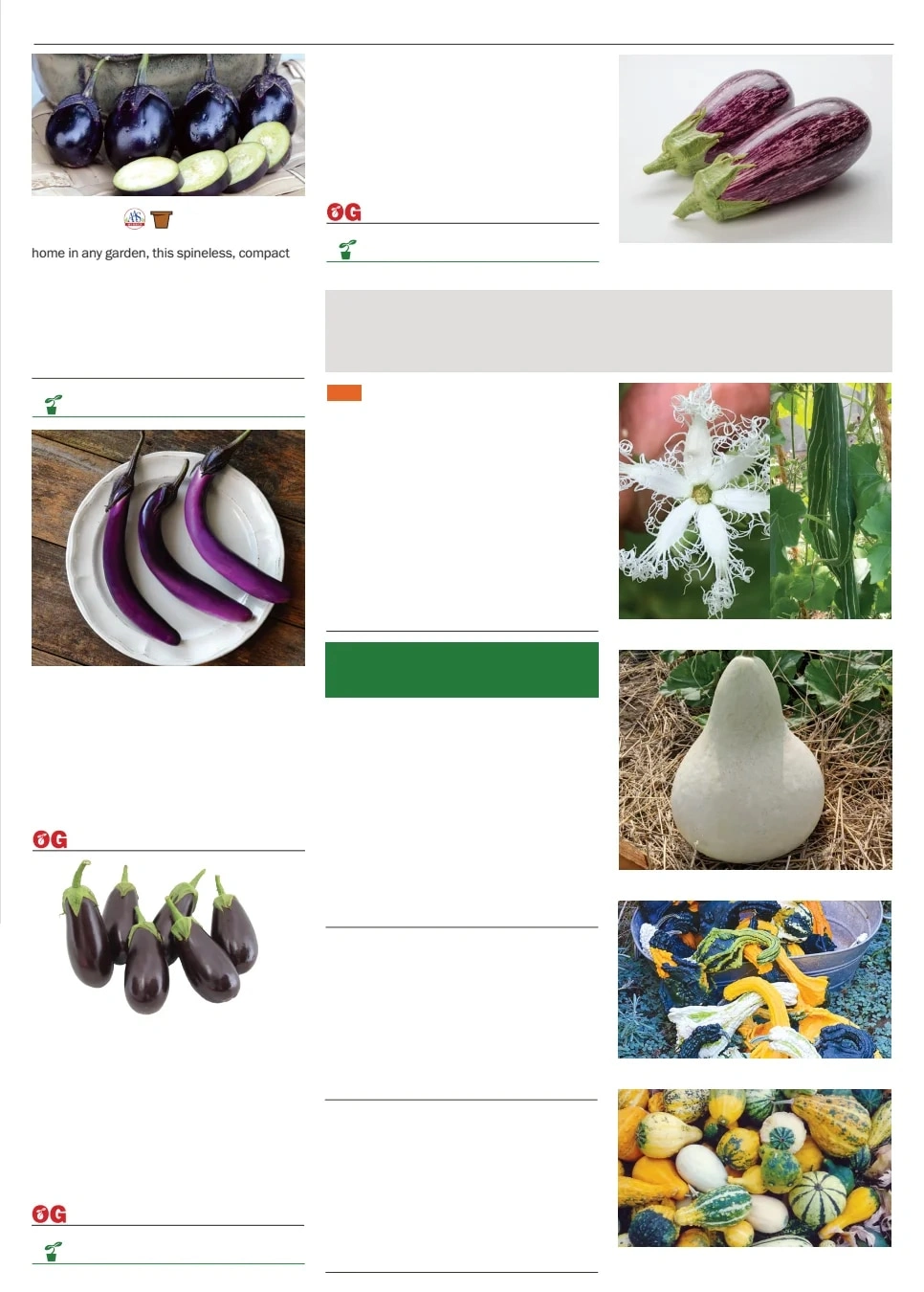 Territorial Seed flyer page 37