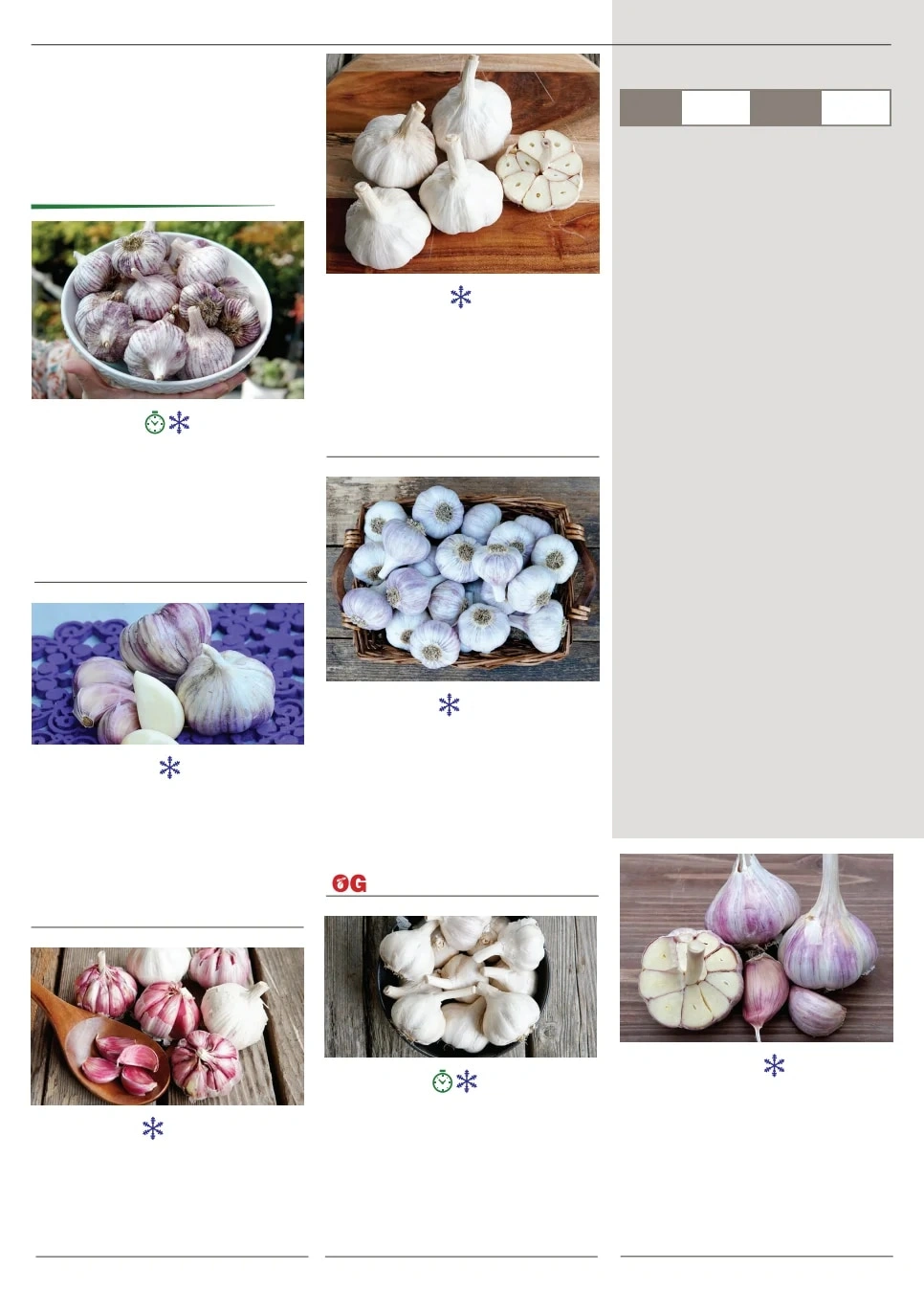 Territorial Seed flyer page 38
