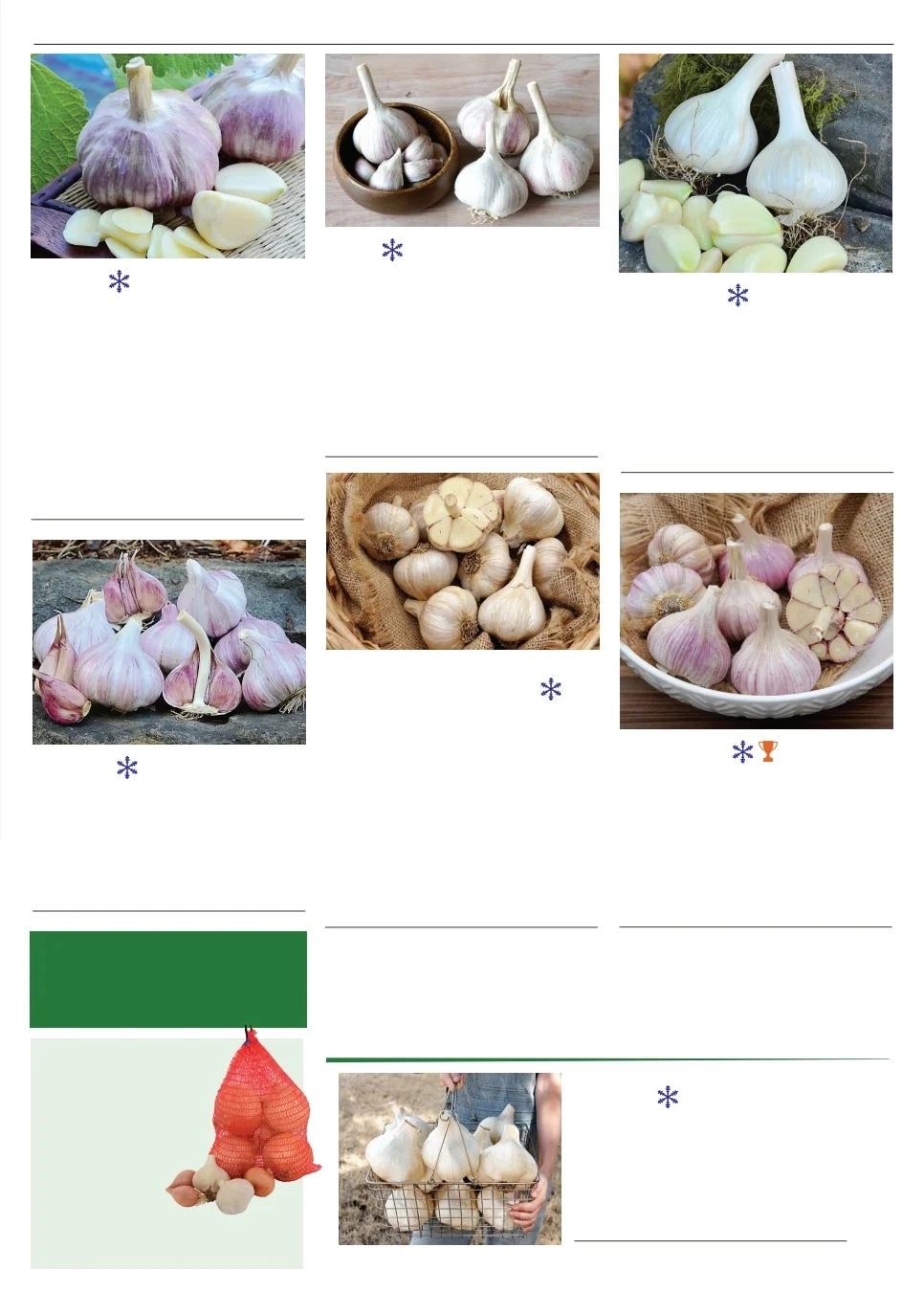 Territorial Seed flyer page 39