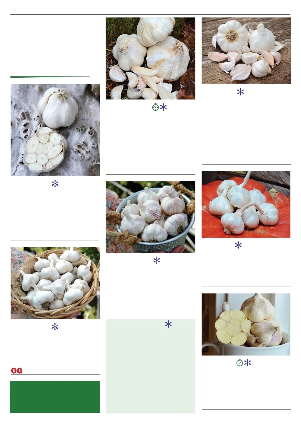 Territorial Seed flyer page 40