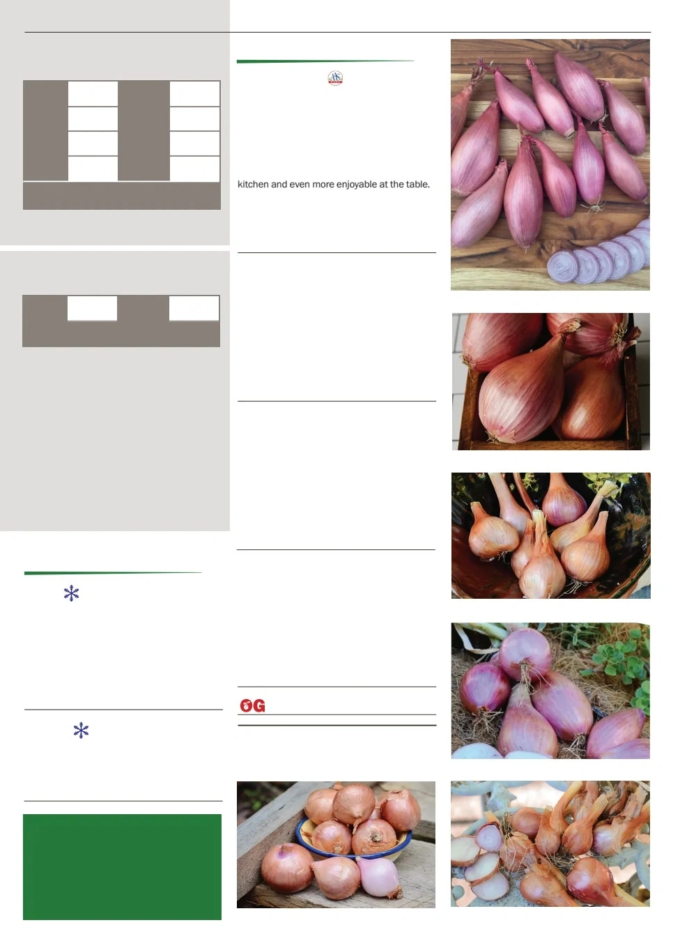 Territorial Seed flyer page 41