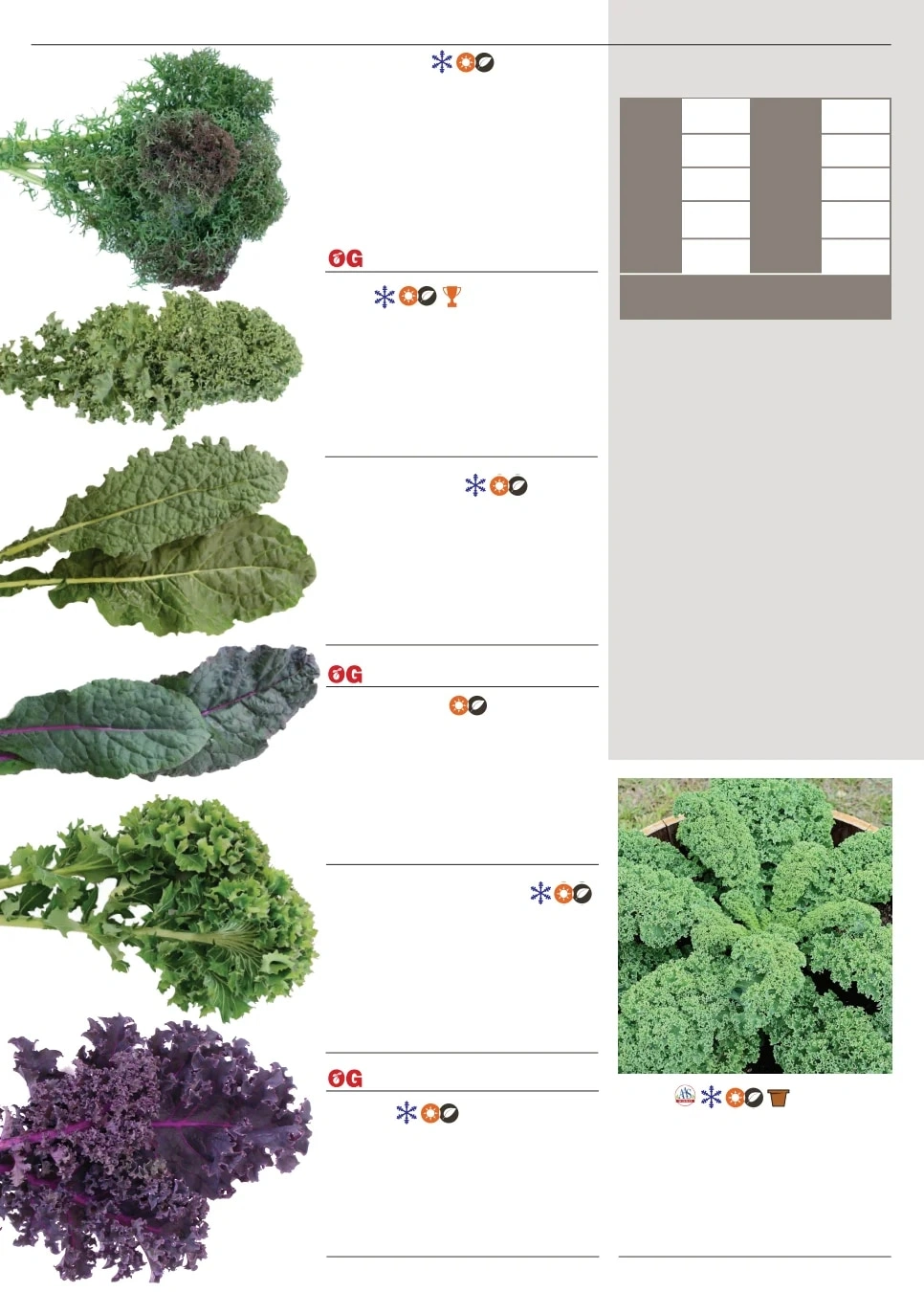 Territorial Seed flyer page 42