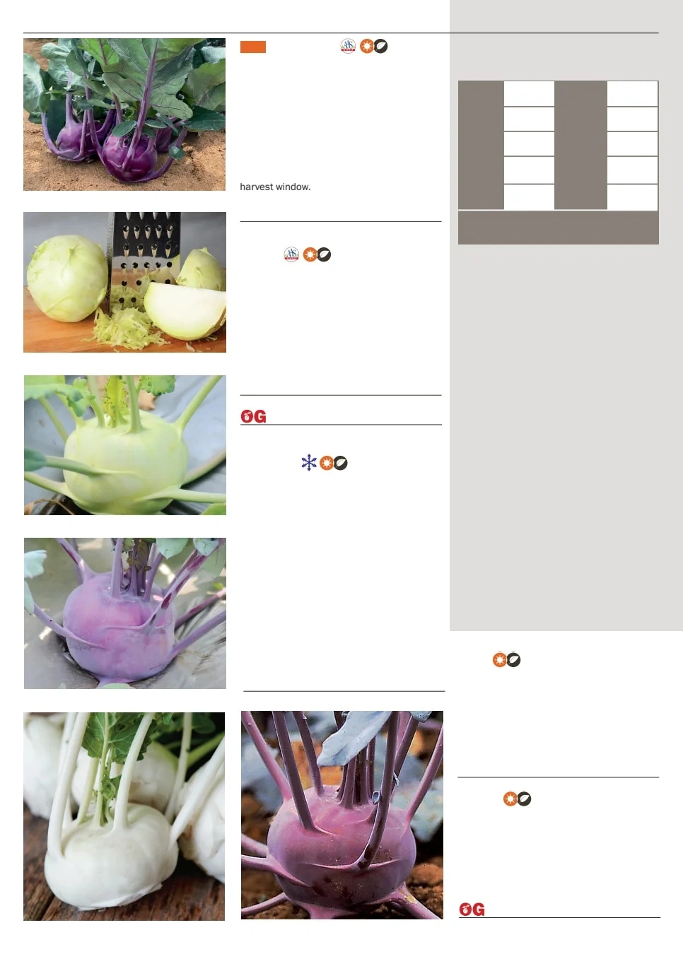 Territorial Seed flyer page 44
