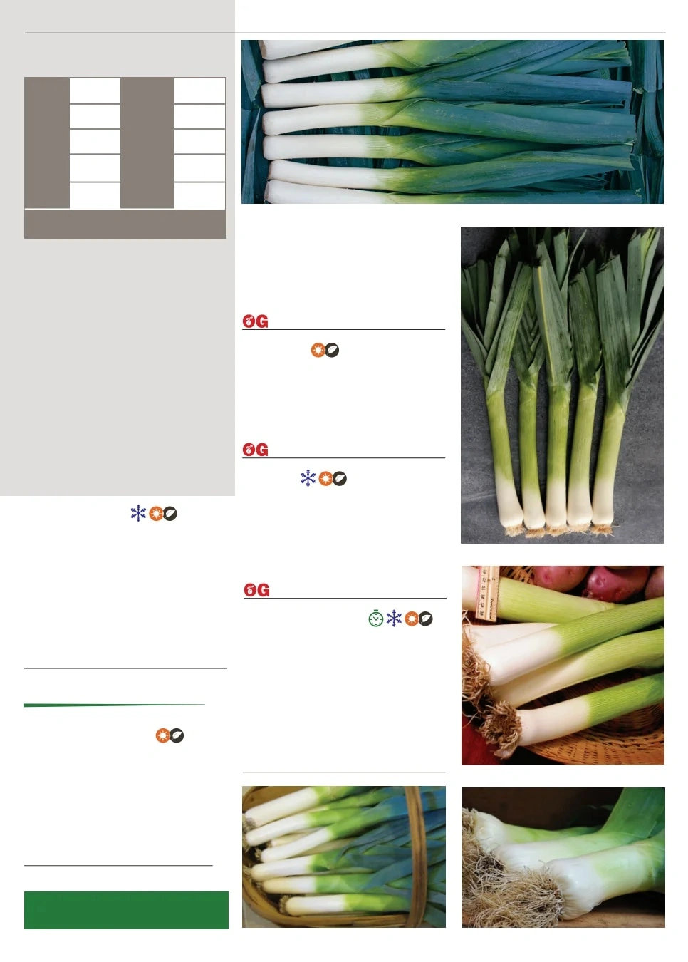 Territorial Seed flyer page 45