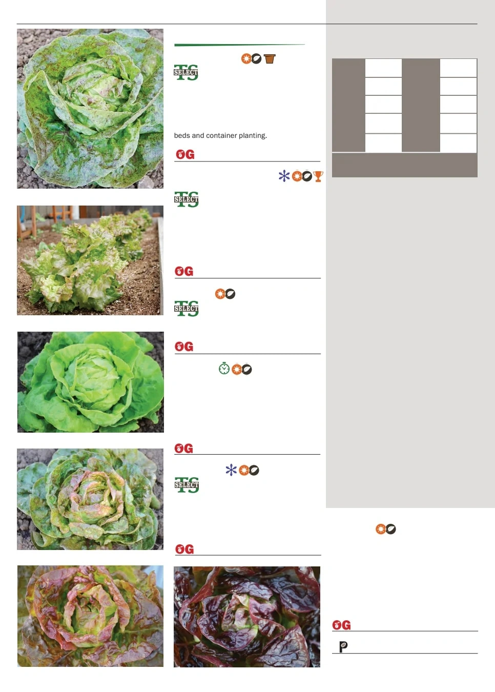 Territorial Seed flyer page 46