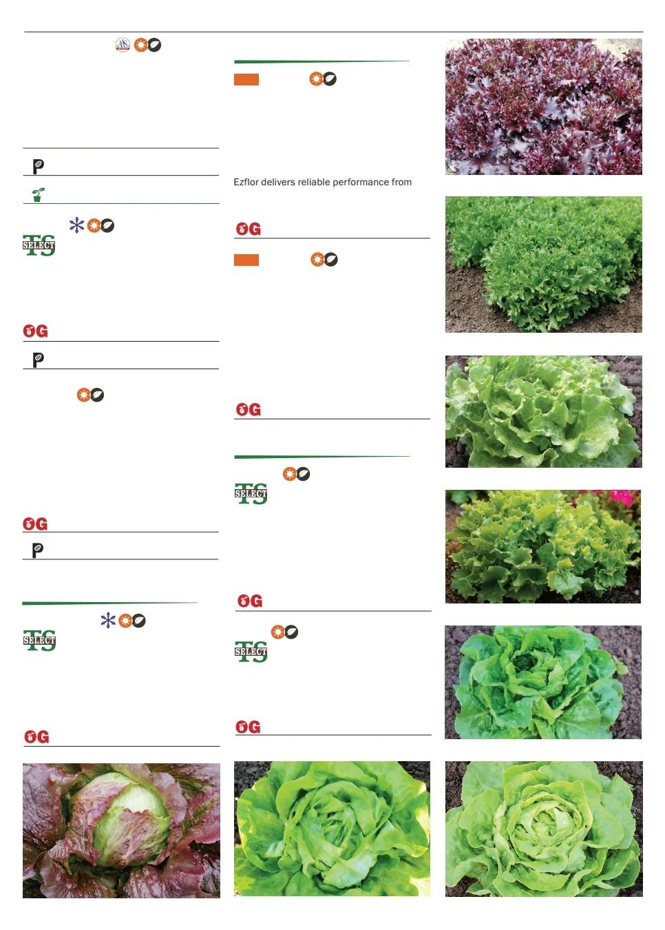 Territorial Seed flyer page 47