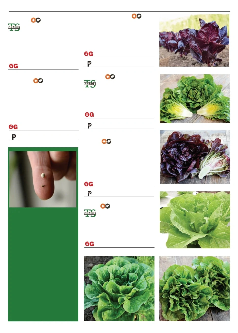 Territorial Seed flyer page 49