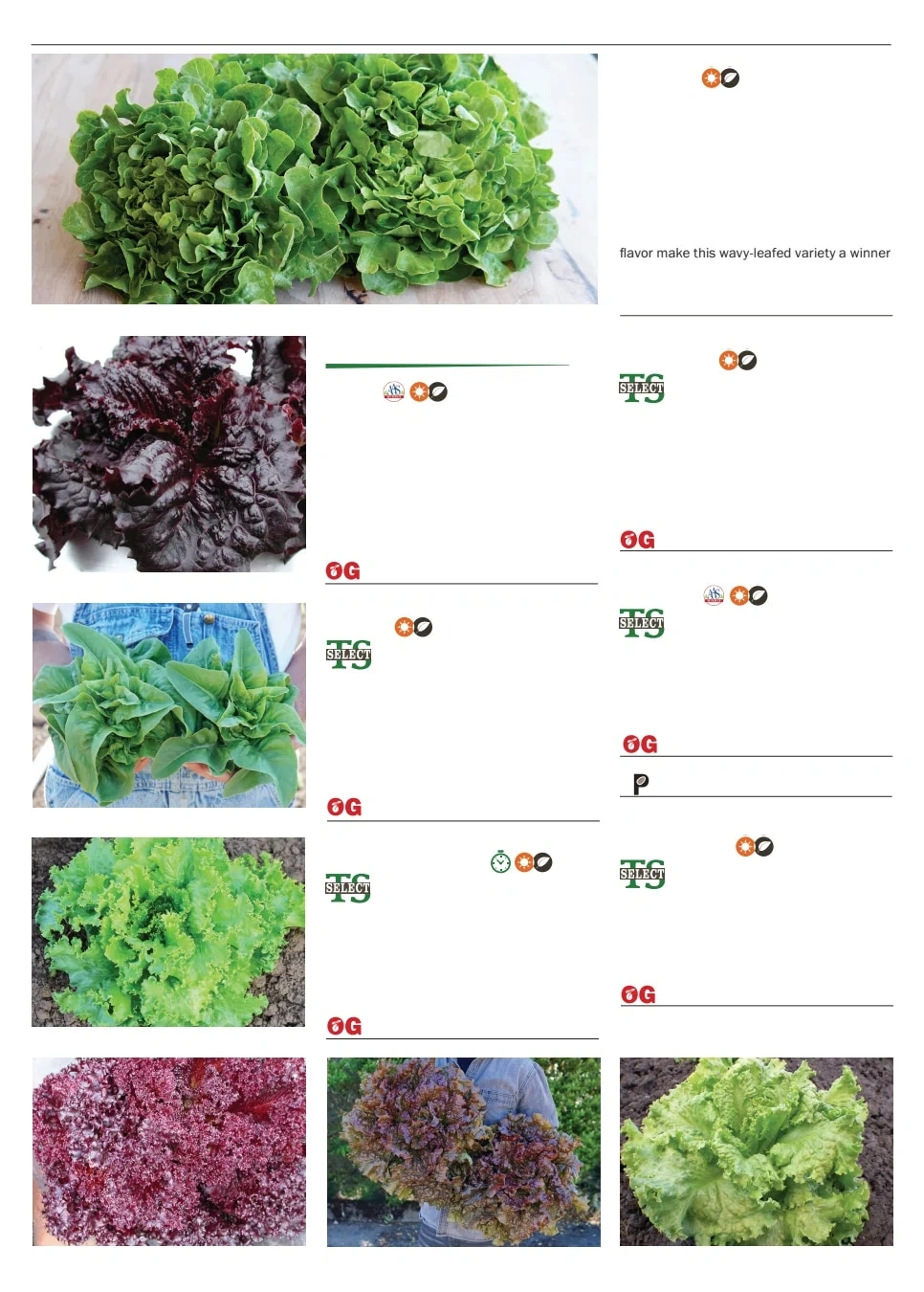 Territorial Seed flyer page 50