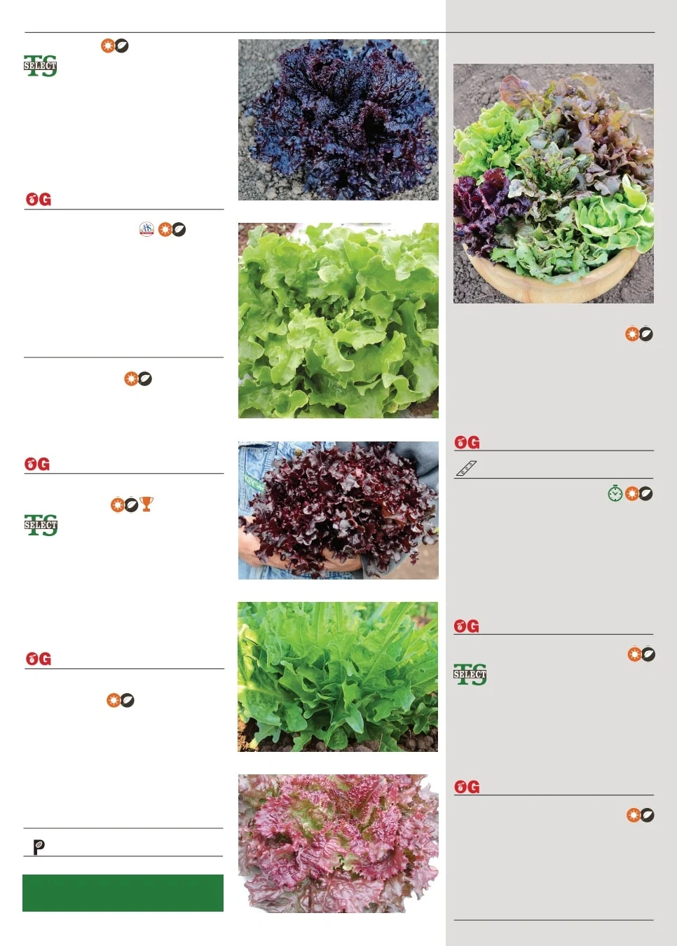 Territorial Seed flyer page 51