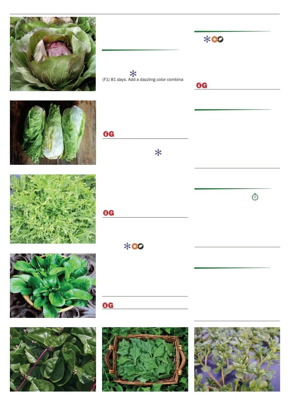 Territorial Seed flyer page 54