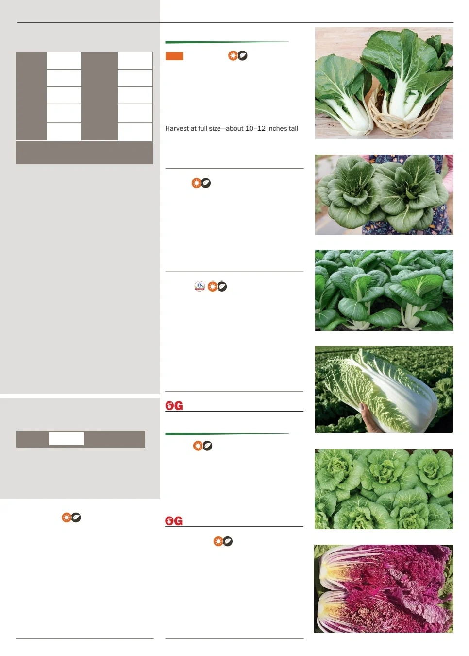 Territorial Seed flyer page 57