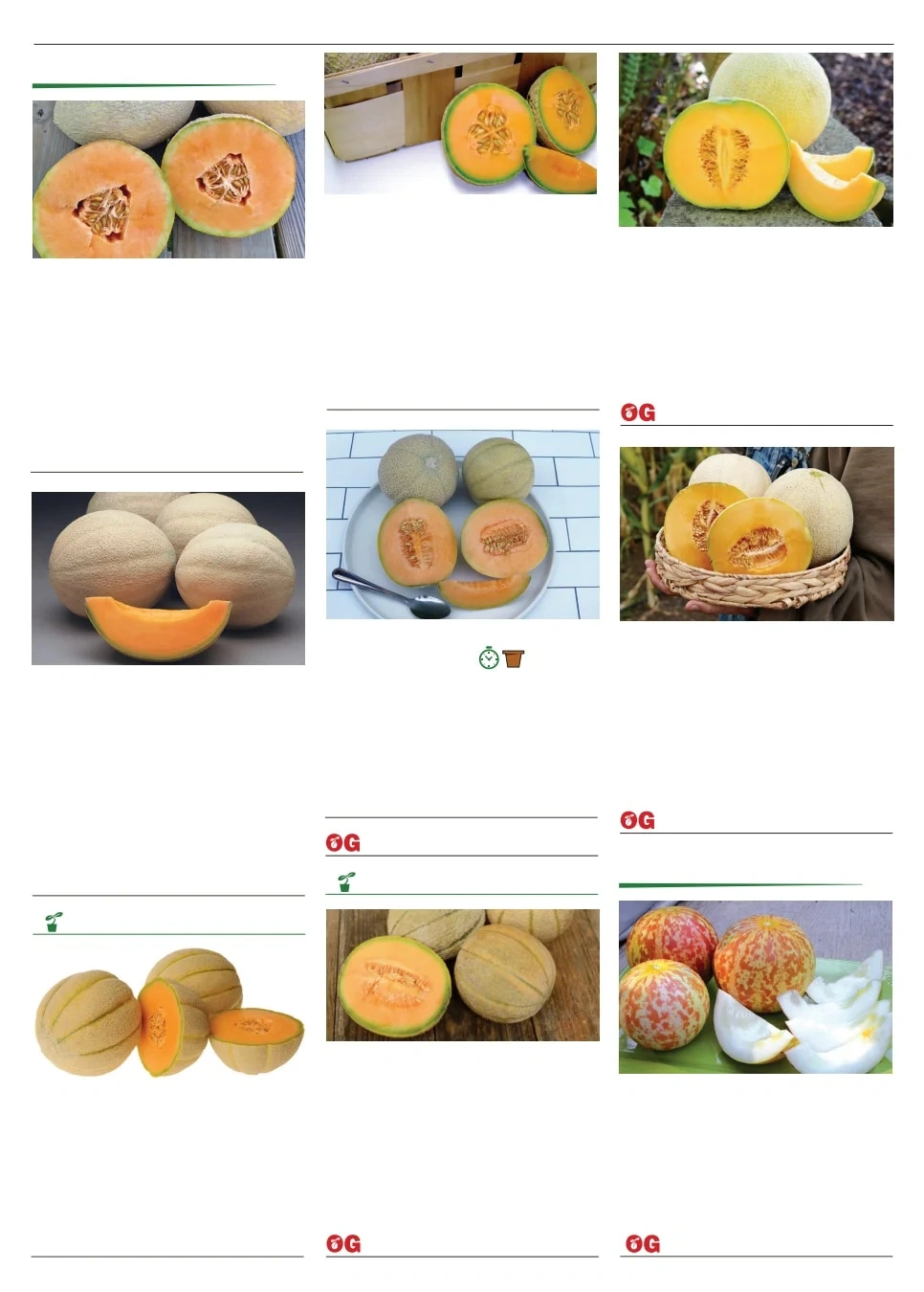 Territorial Seed flyer page 59