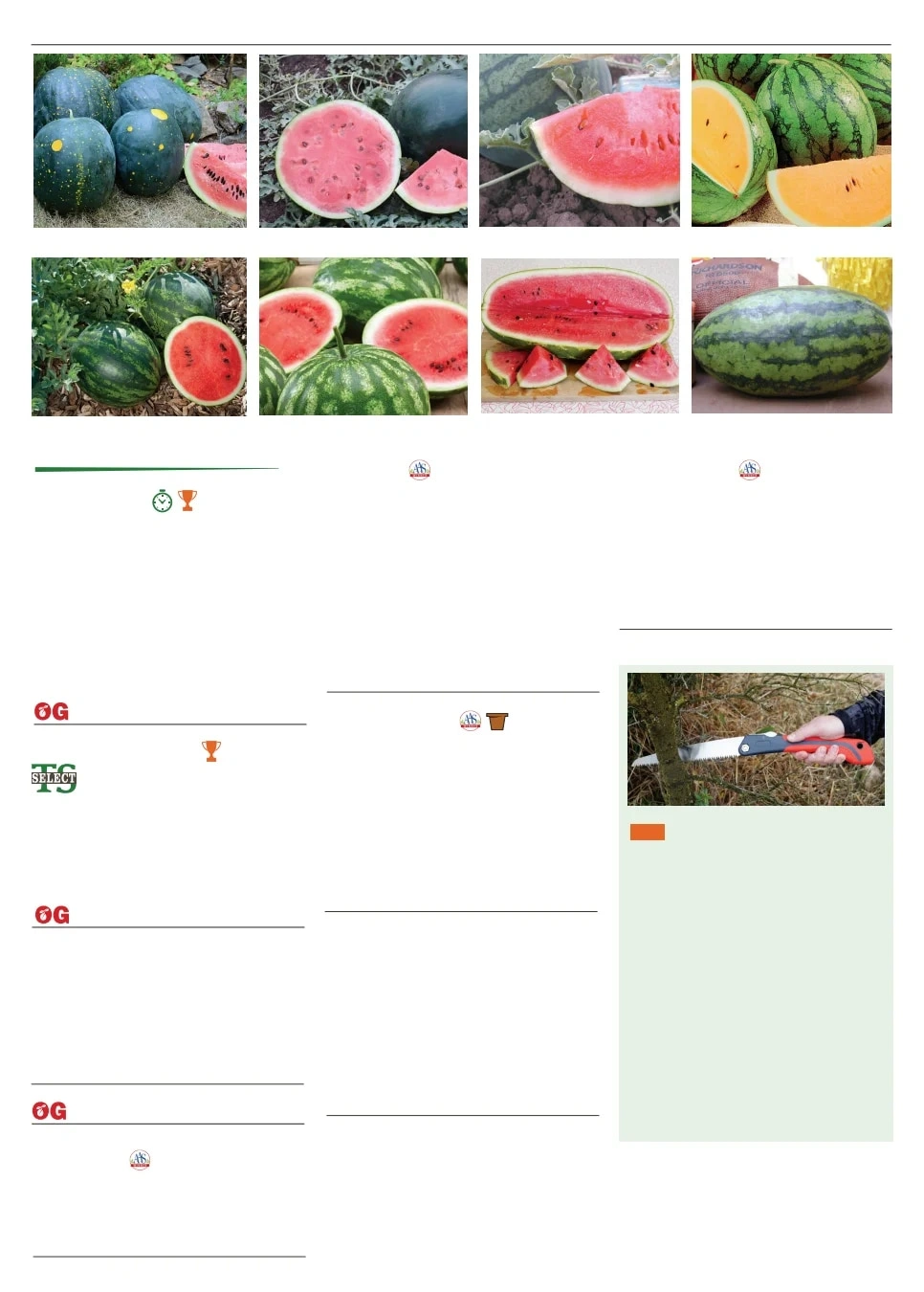 Territorial Seed flyer page 60