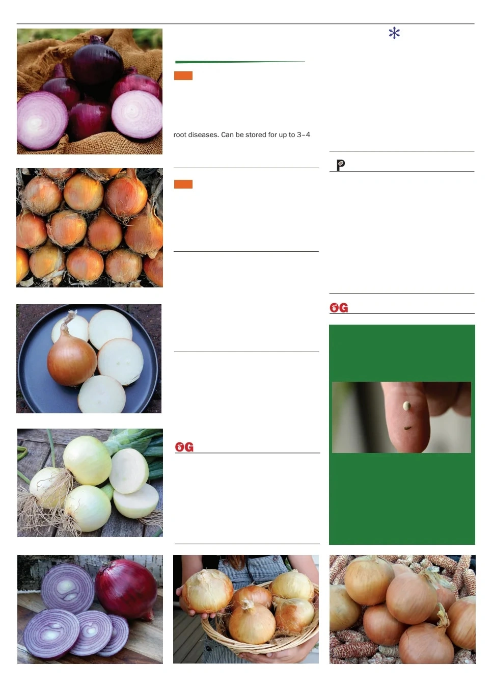 Territorial Seed flyer page 64