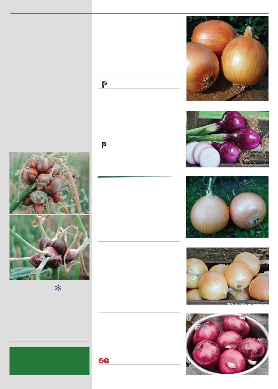 Territorial Seed flyer page 65