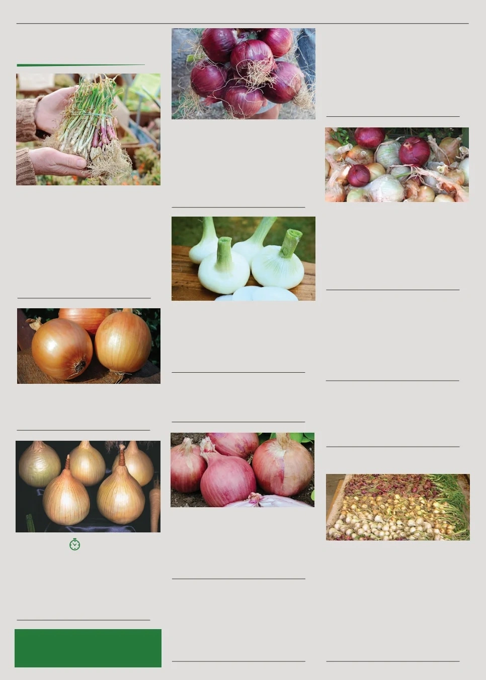 Territorial Seed flyer page 66