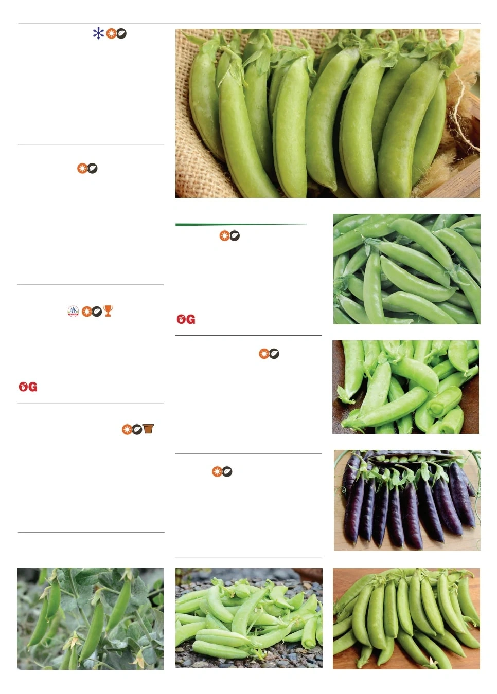 Territorial Seed flyer page 69