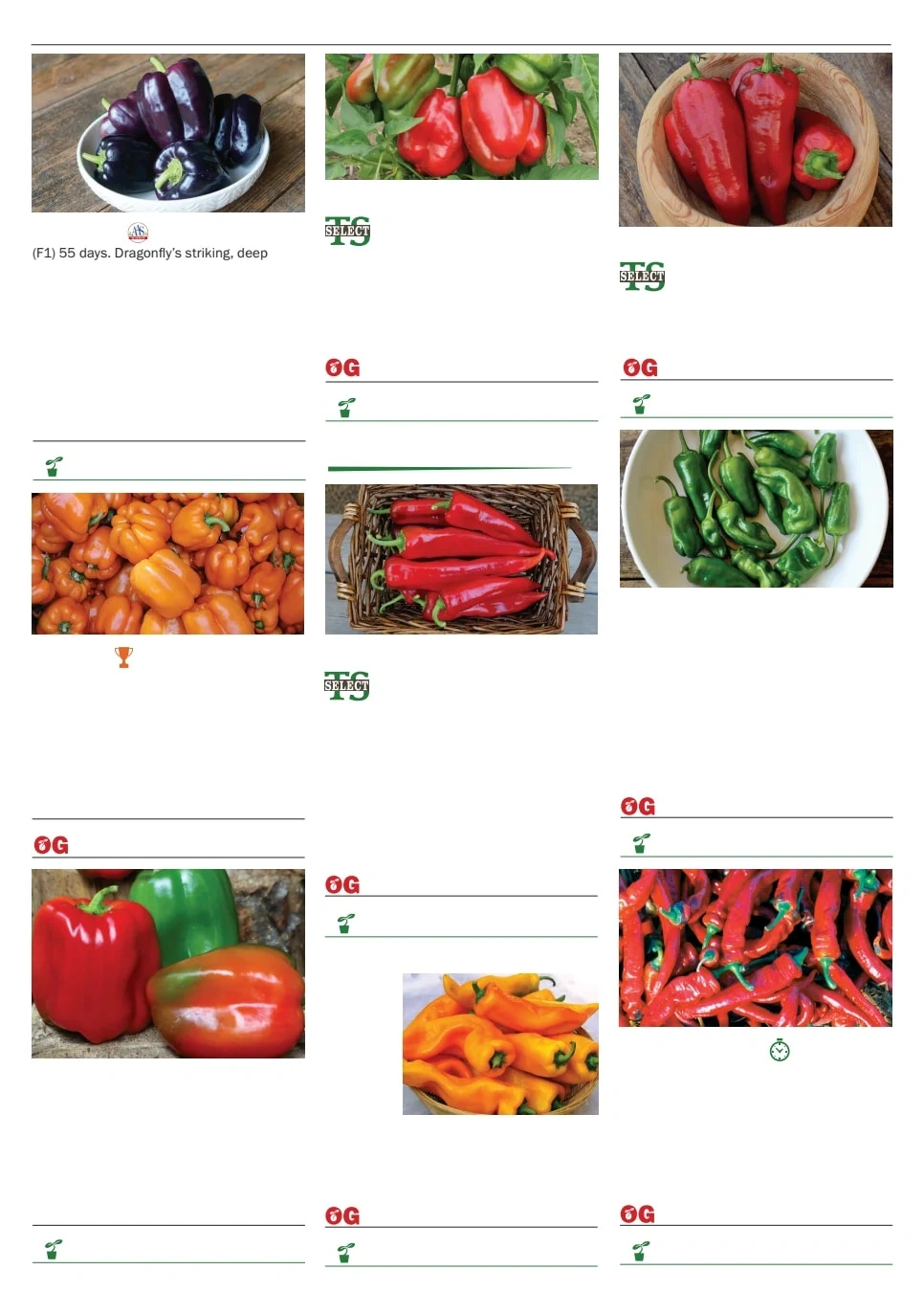 Territorial Seed flyer page 72