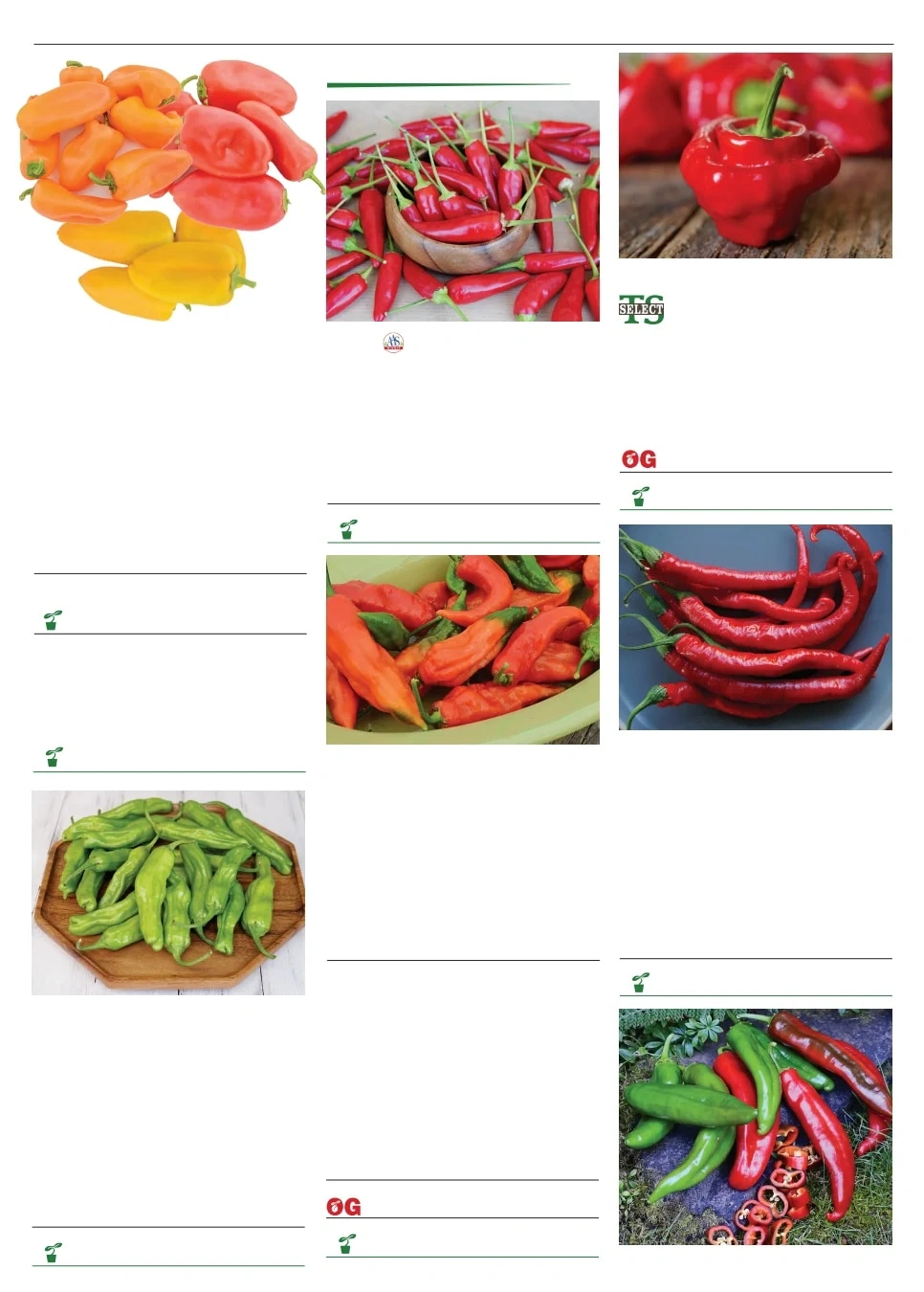 Territorial Seed flyer page 73