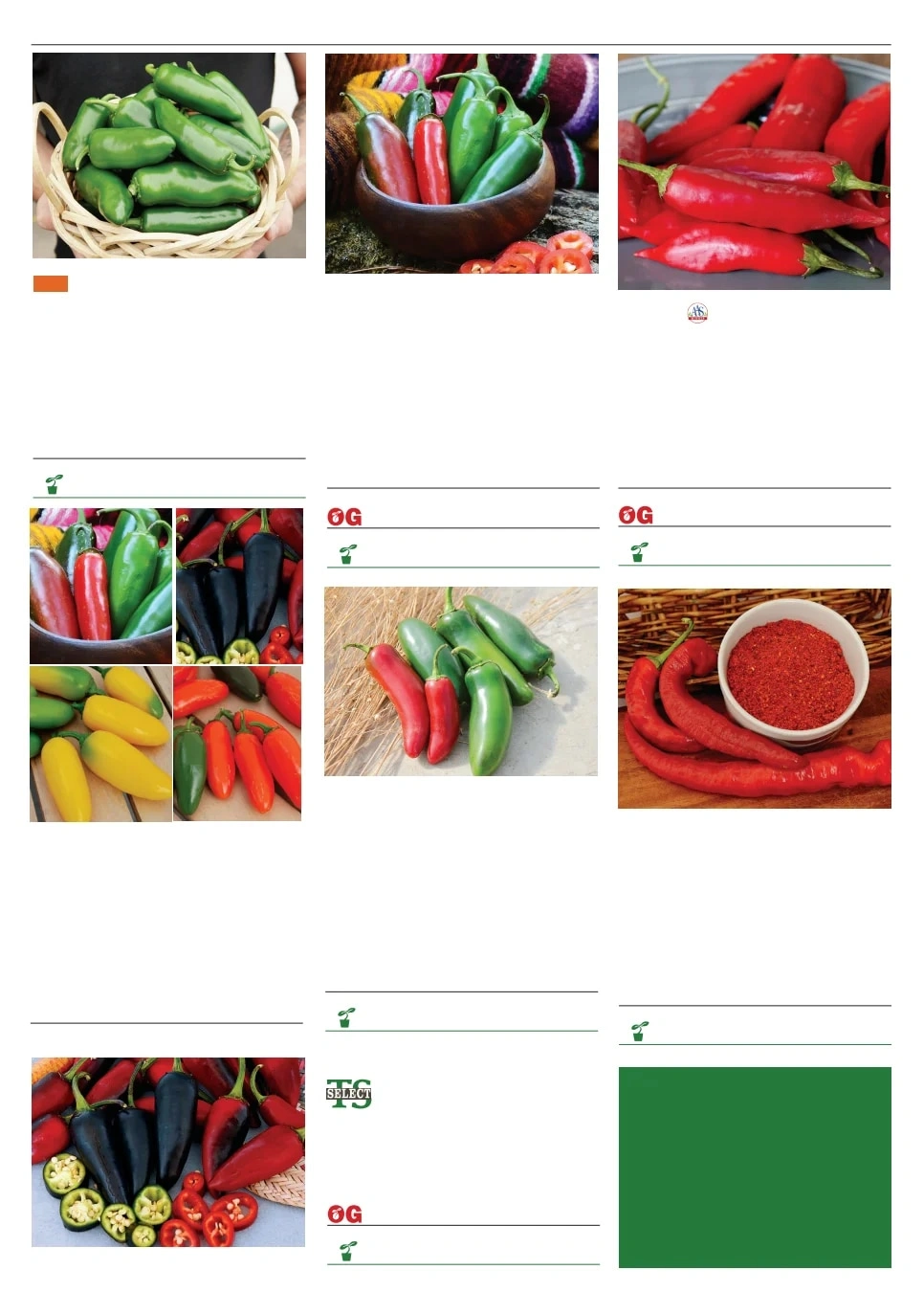 Territorial Seed flyer page 74