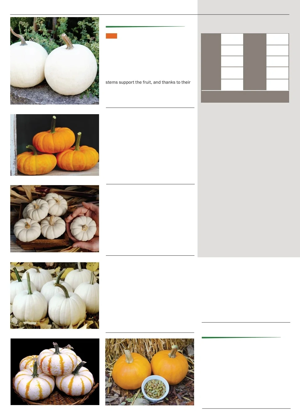 Territorial Seed flyer page 76