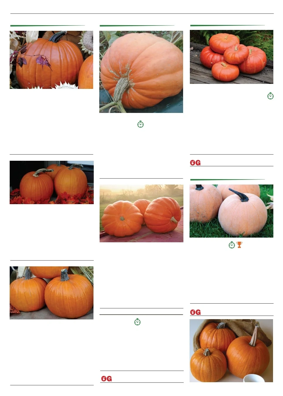 Territorial Seed flyer page 77