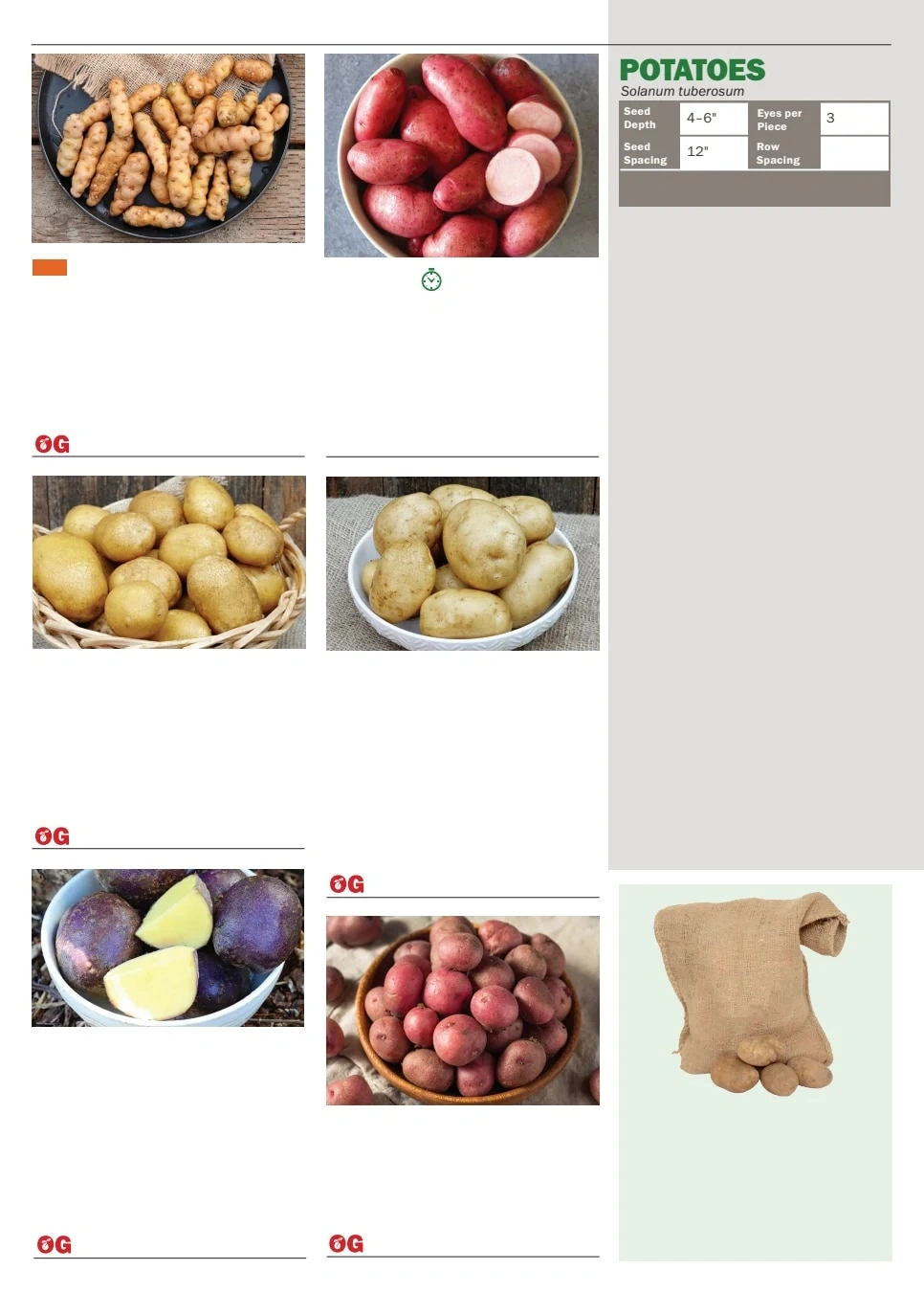 Territorial Seed flyer page 78