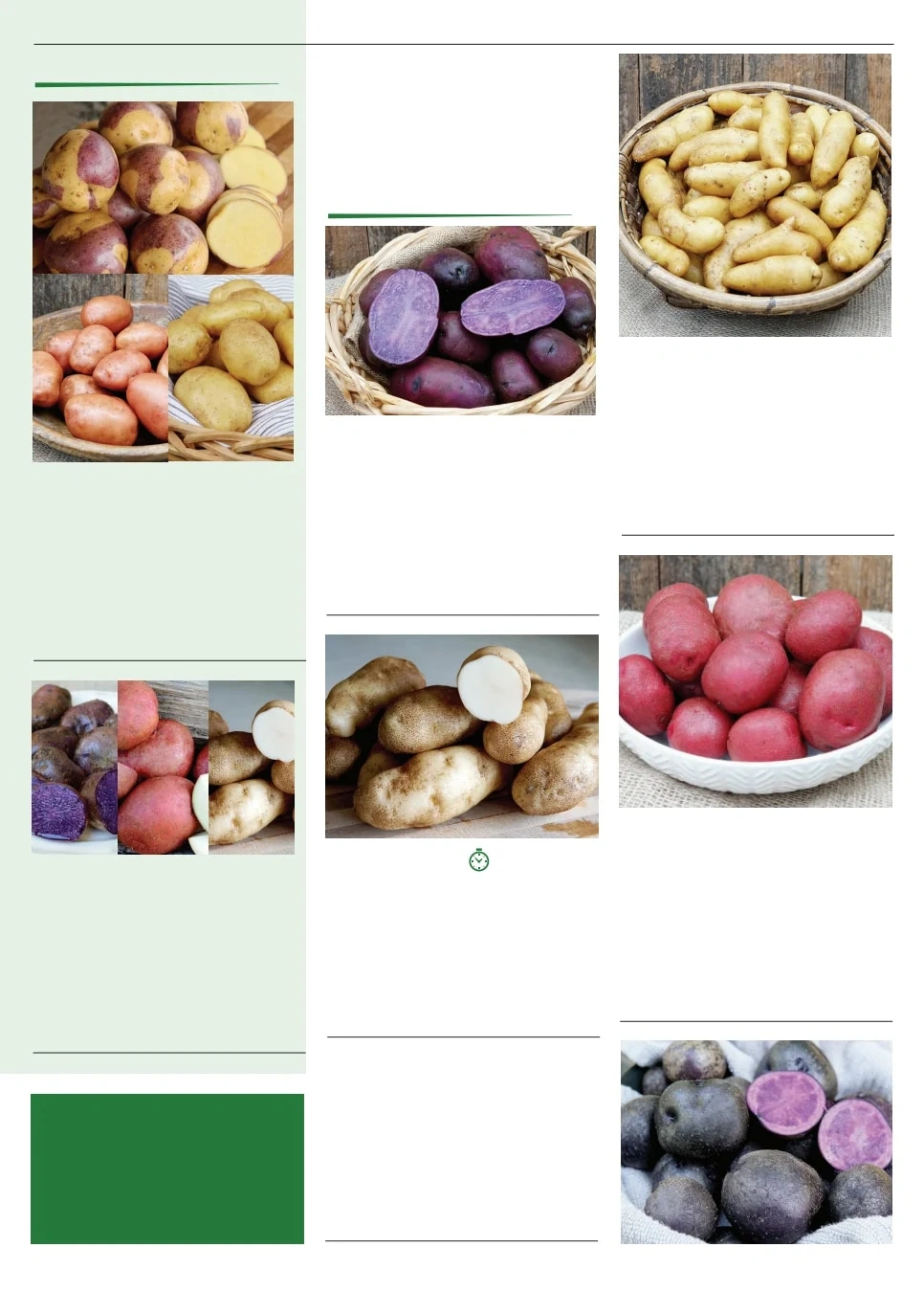 Territorial Seed flyer page 79