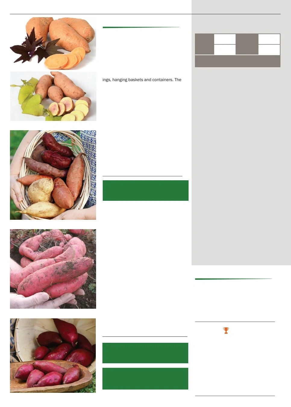Territorial Seed flyer page 80