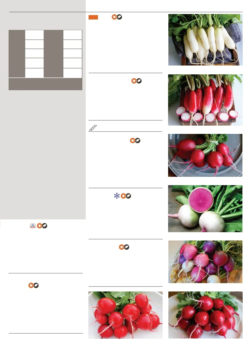 Territorial Seed flyer page 81