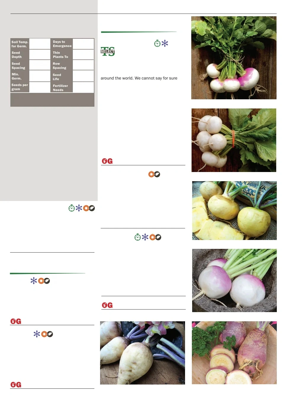 Territorial Seed flyer page 83