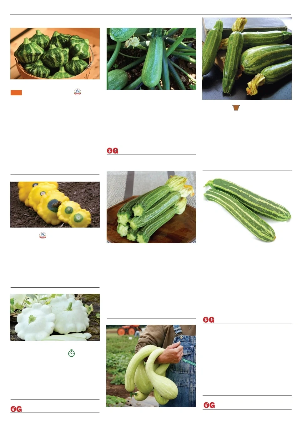 Territorial Seed flyer page 86