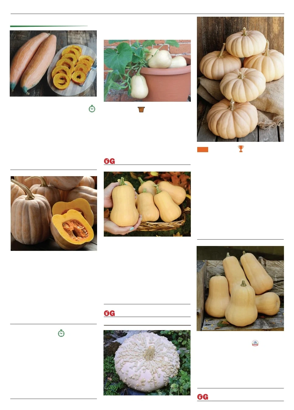 Territorial Seed flyer page 87