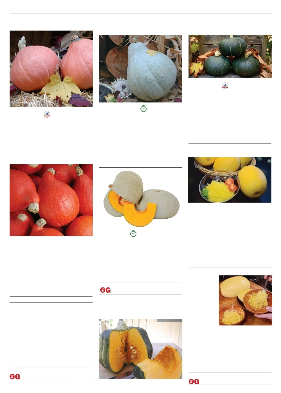 Territorial Seed flyer page 89