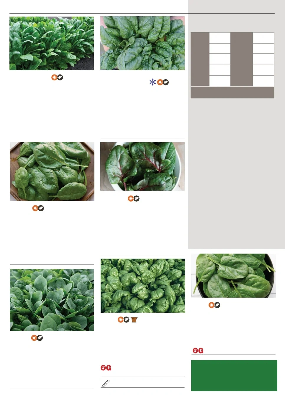 Territorial Seed flyer page 90