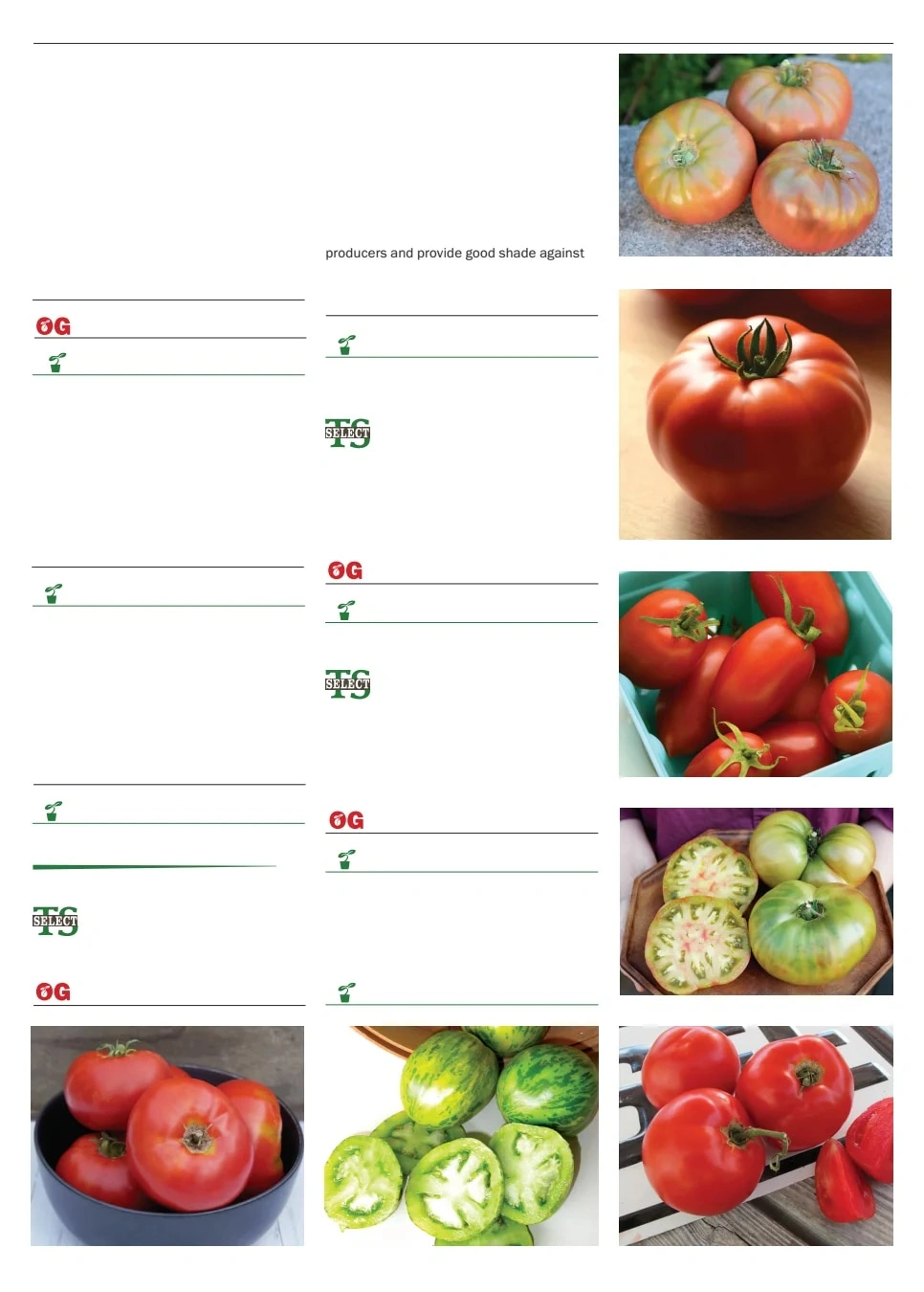 Territorial Seed flyer page 93