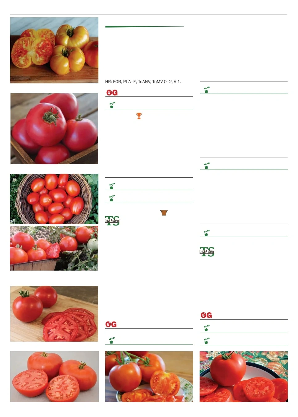 Territorial Seed flyer page 94