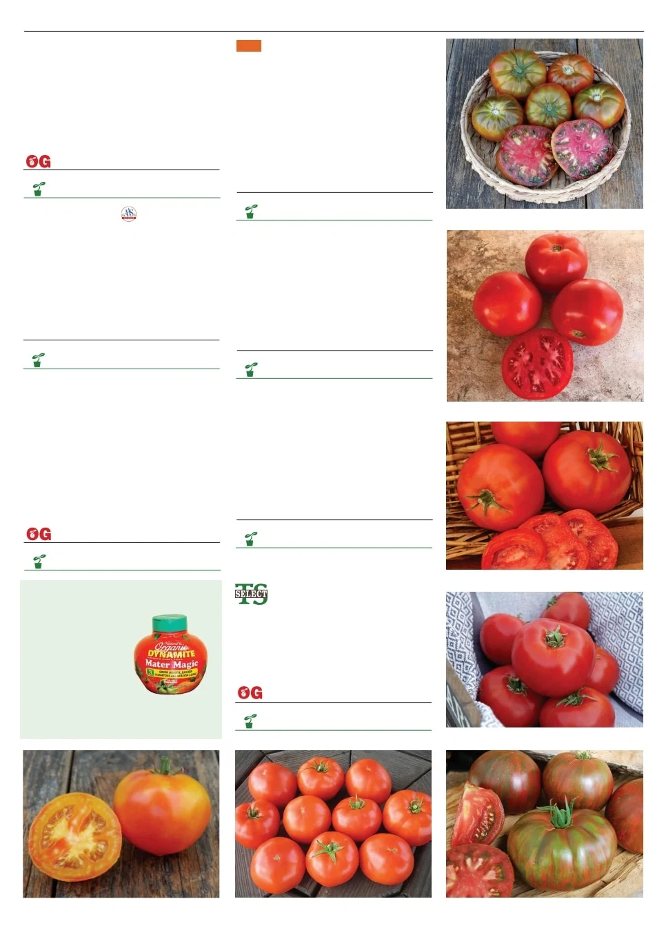 Territorial Seed flyer page 95