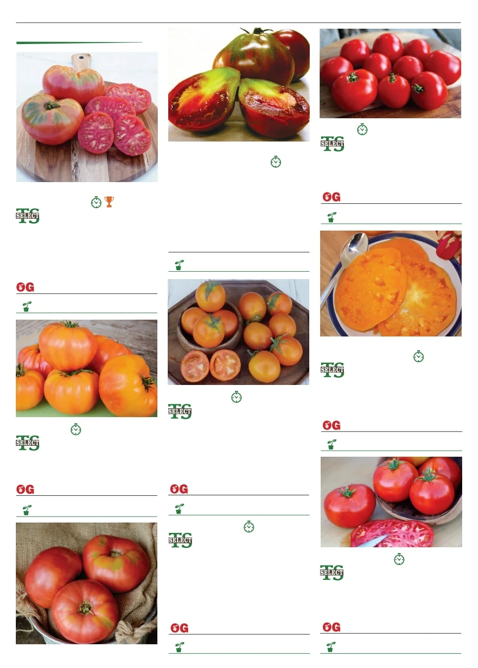 Territorial Seed flyer page 96