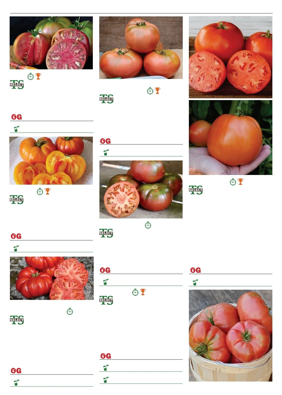 Territorial Seed flyer page 97