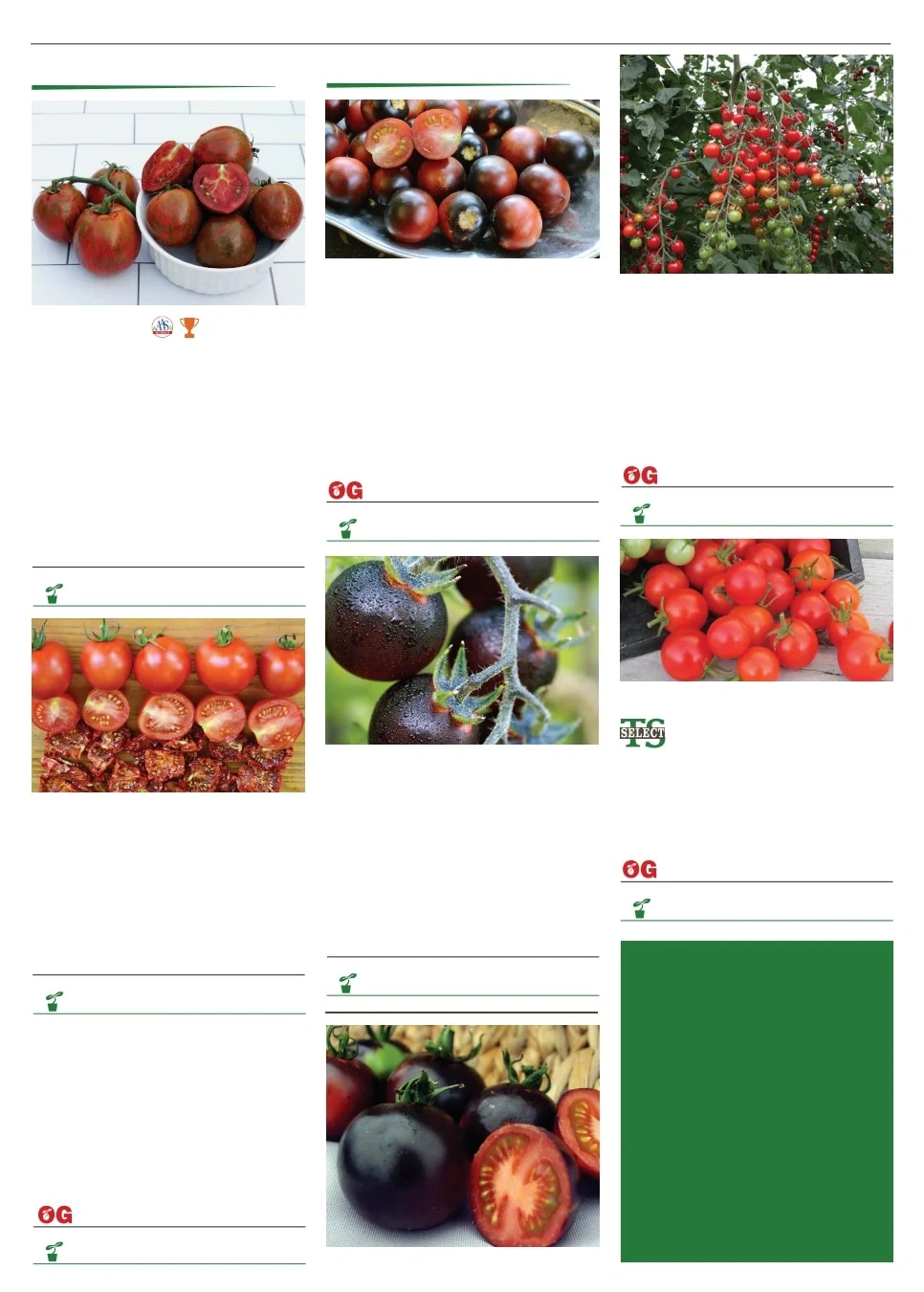 Territorial Seed flyer page 98