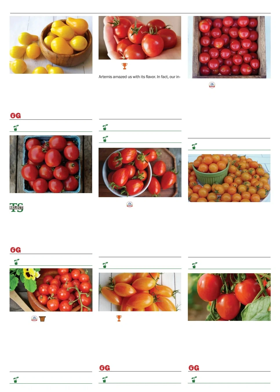 Territorial Seed flyer page 99