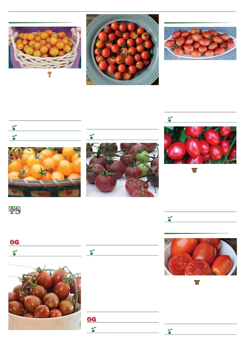Territorial Seed flyer page 100