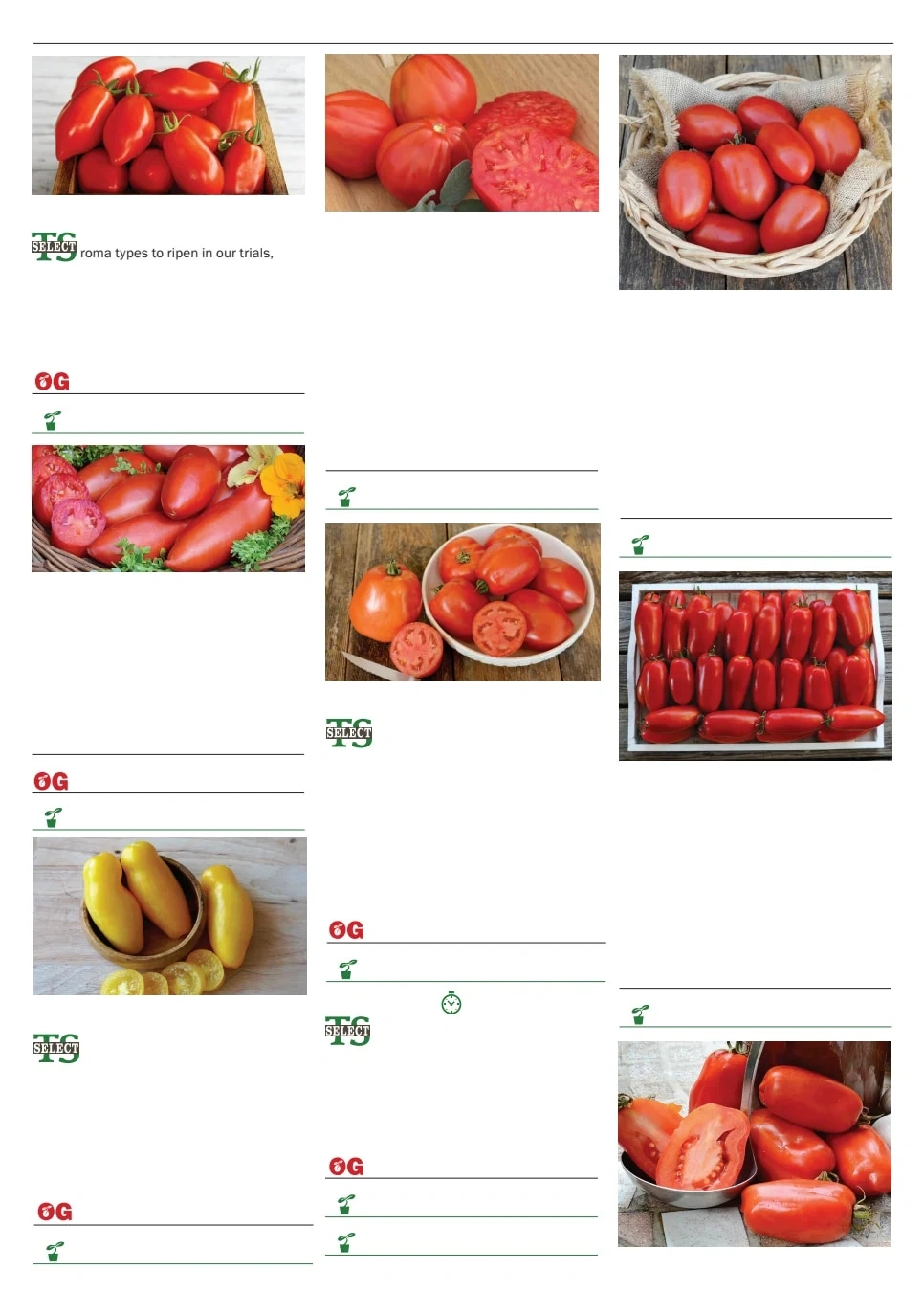 Territorial Seed flyer page 101